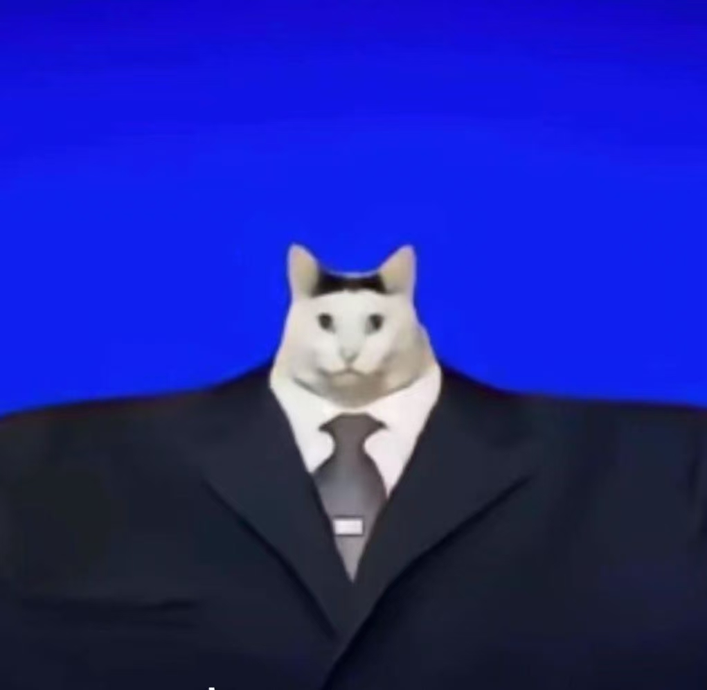 image_cat.jpg